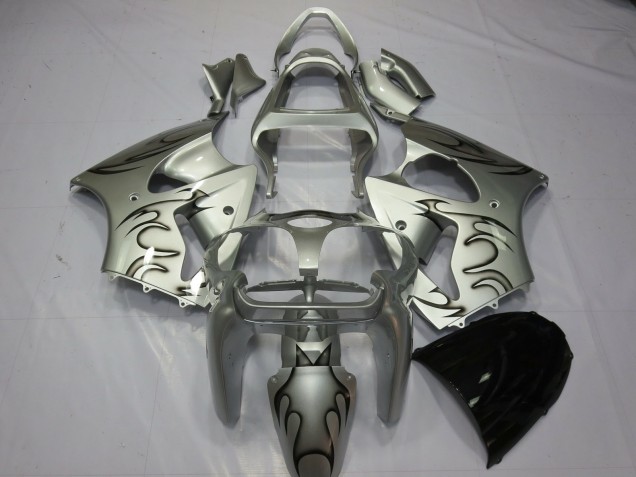 2000-2002 Argent Flamme Kawasaki ZX6R Carene Moto Fabbrica