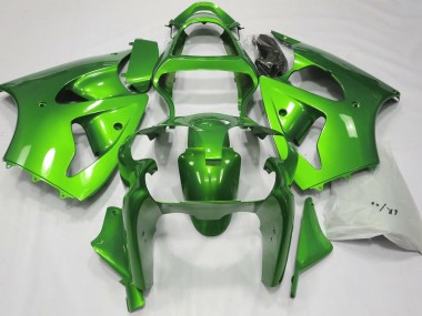 2000-2002 Verde Metallizzato Kawasaki ZX6R Carene Moto Fabbrica